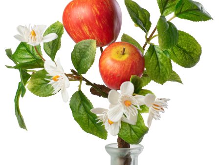 12  Country Apples & Blossoms Pick Online Hot Sale