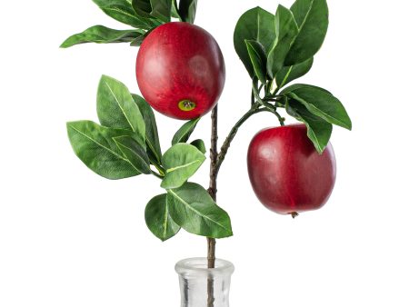 20  Red Apples & Leaves Spray Fashion