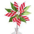 22  Stripe Poinsettia Stem: Red, Green, White Sale