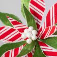 22  Stripe Poinsettia Stem: Red, Green, White Sale