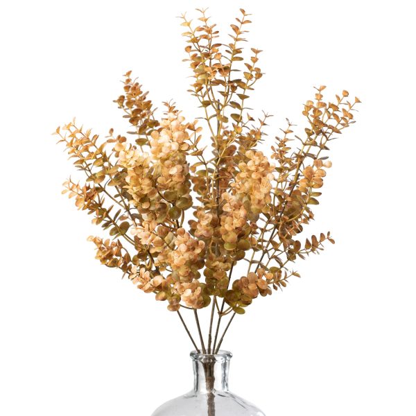 21  Eucalyptus Bush: Brown Online