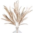 21  Metallic Fern Bush: Champagne Cheap