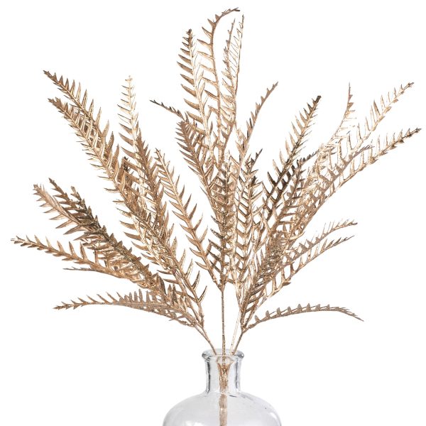 21  Metallic Fern Bush: Champagne Cheap