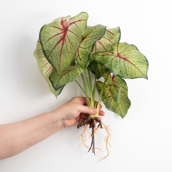 17  Artificial Caladium Plant: Green & Burgundy Sale