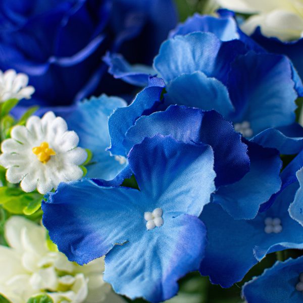 21  Hydrangea Rose Daisy Mixed Bush: Blues Online now