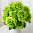 17  Colorfast Lillian Open Rose Bush: Lime Sale