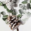 18  Snow Eucalyptus Pinecone Spray Fashion