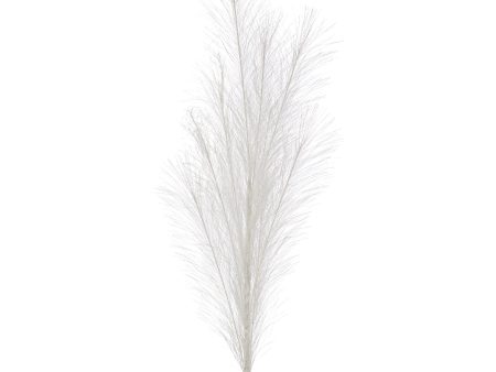 38  Metallic Pampas Grass Spray: Iridescent White on Sale