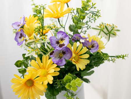 18  Mini Pansy Daisy Mix Bush: Purple & Yellow (12) Online Hot Sale