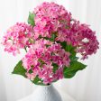 23  Hydrangea Bush: Fuchsia Pink Online Sale