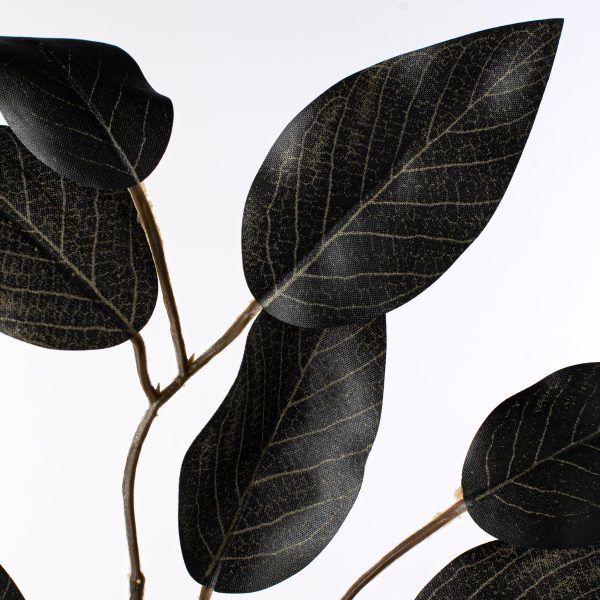 23  Ficus Leaf Spray: Black (12) For Discount