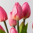 13  Tulip Bush: Pink (9 Stem) Fashion