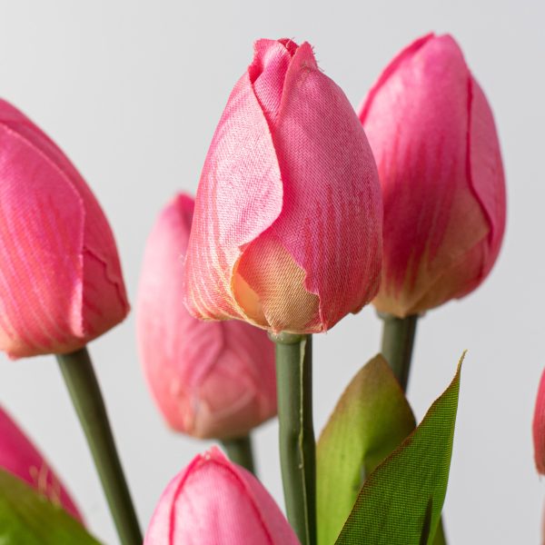 13  Tulip Bush: Pink (9 Stem) Fashion