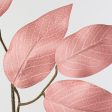 23  Ficus Leaf Spray: Rose Pink (12) Discount