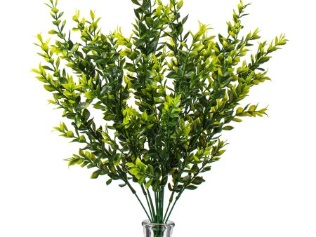 21  Tea Leaf Bush Cheap