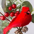 10  Berry, Eucalyptus, Pinecone Bird Pick: Red Online now