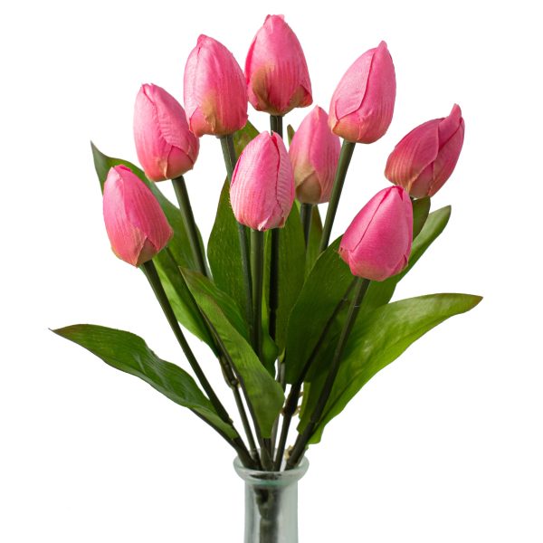 13  Tulip Bush: Pink (9 Stem) Fashion