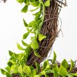 15  Clover Boxwood Grapevine Hanger Online now