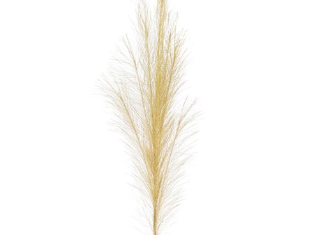 38  Metallic Pampas Grass Spray: Gold For Sale