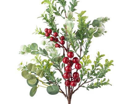 20  Eucalyptus Mix with Red Berries Bush Hot on Sale