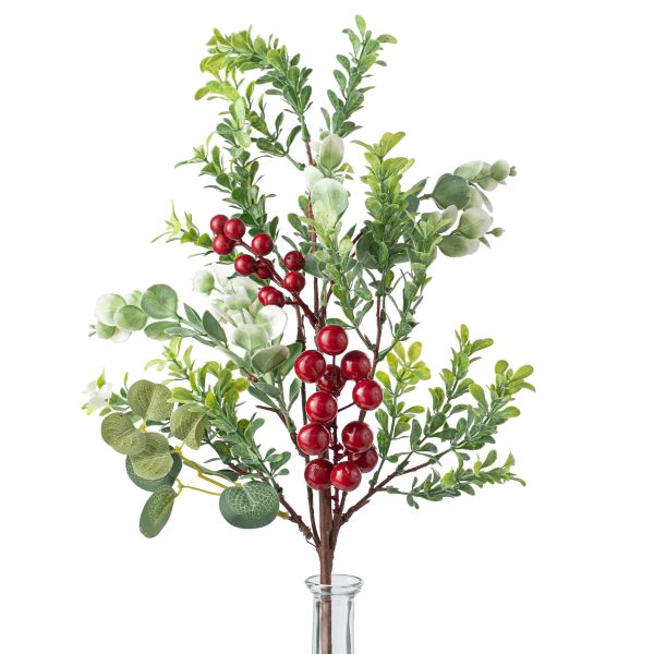 20  Eucalyptus Mix with Red Berries Bush Hot on Sale