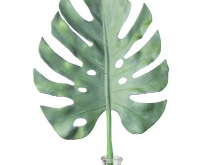 33  Monstera Leaf Stem Supply