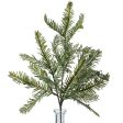 17  Hemlock Pine Spray Sale