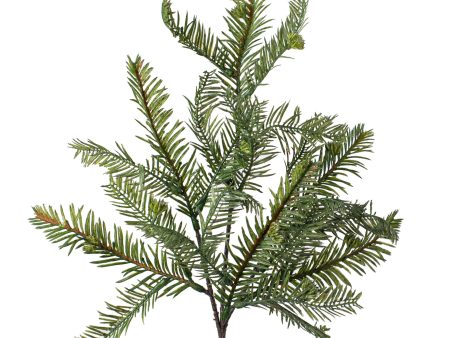 17  Hemlock Pine Spray Sale