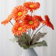 17  Gerbera Daisy Bush: Orange Discount