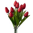 13  Tulip Bush: Red (9 Stem) Discount