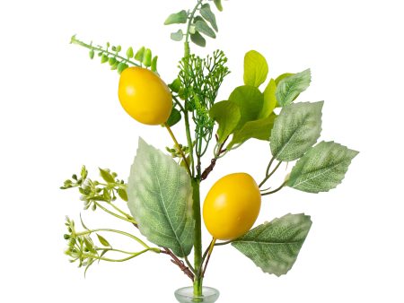 18  Lemon, Fern & Salal Greenery Leaves Pick Online Hot Sale