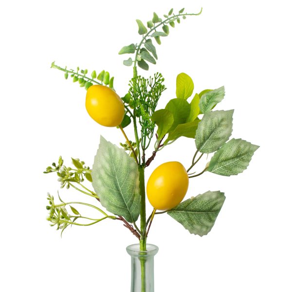 18  Lemon, Fern & Salal Greenery Leaves Pick Online Hot Sale