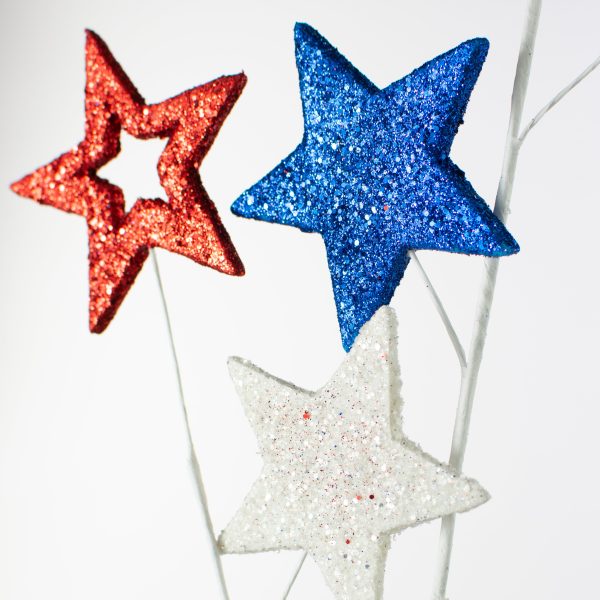 23  Glitter Star Spray: Red, White & Blue Online Sale