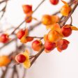 5  Bittersweet Garland: Fall For Cheap