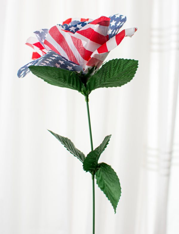 21  Colorfast American Flag Rose Bush Online Hot Sale