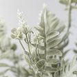 21  Fern Bush: Dusty Sage Online Hot Sale