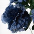 17  Colorfast Carnation Bush: Navy Blue (14) Cheap