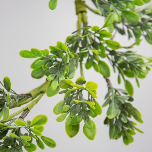 4  Oregonia Greenery Leaves Garland Online Hot Sale