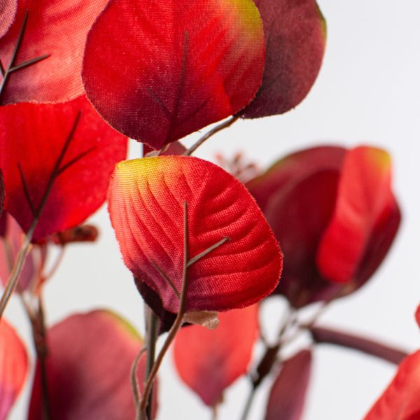 18  Eucalyptus Bush: Red & Burgundy Online now