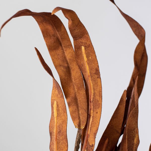 18  Foam Willow Leaves Pick: Brown Online Sale