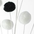 23  2-Color Pom Pom Spray: Black & White Discount