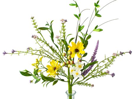 16  Daisy Twig Pick: Yellow on Sale