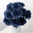 17  Colorfast Carnation Bush: Navy Blue (14) Cheap