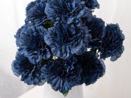 17  Colorfast Carnation Bush: Navy Blue (14) Cheap