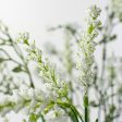 18  Baby s Breath & Lavender Filler Bush: White Online now