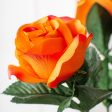 17  Colorfast Lillian Open Rose Bush: Orange For Cheap