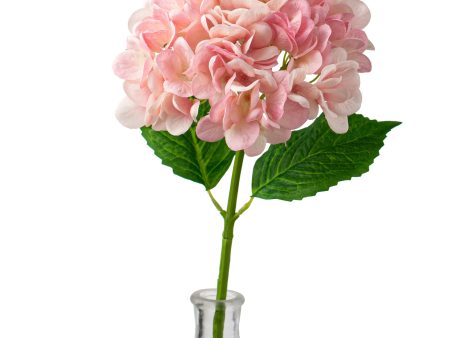 19  Deluxe Mophead Hydrangea Spray: Pink, Cream Hot on Sale