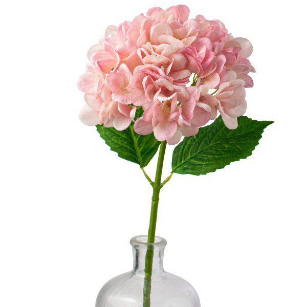 19  Deluxe Mophead Hydrangea Spray: Pink, Cream Hot on Sale