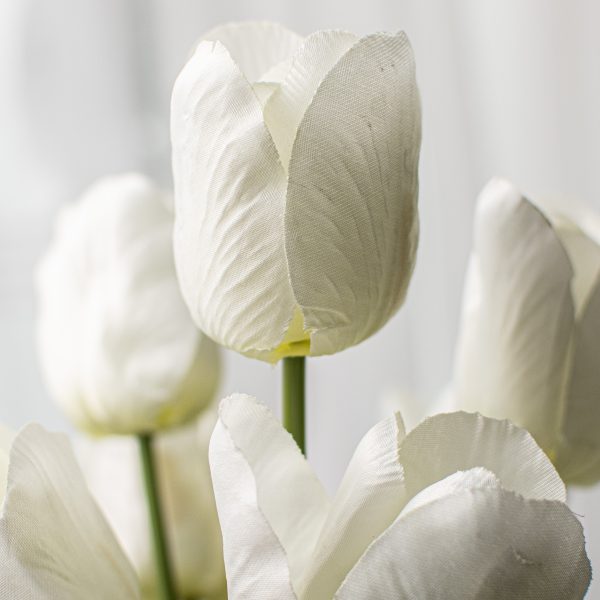 17  Tulips Bush: Cream Online Hot Sale