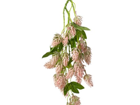 19   Hops Hanging Spray: Pink Online Sale